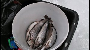 И снова один в тайге \ Рыбалка на ХАРИУСА \ Часть 4 \ завершение