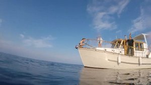 С носа в море