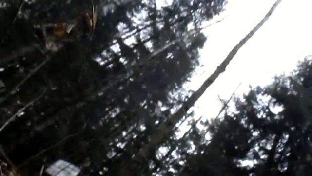 серебряное кольцо с камушками или камрад пришёл на помощь смотреть онлайн