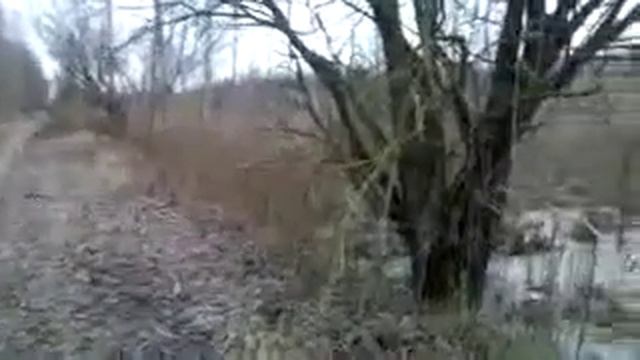 Удачный выстрел-охота на лося смотреть онлайн