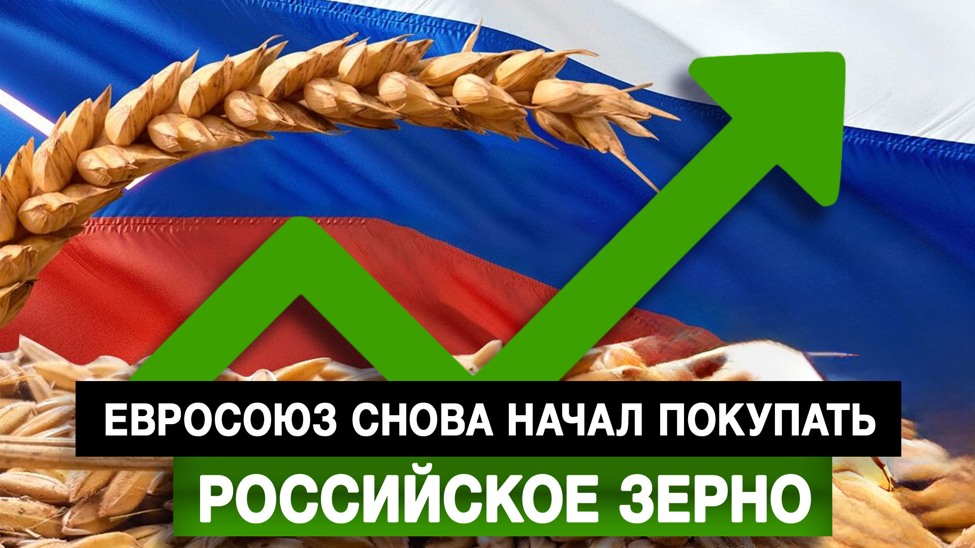 Евросоюз снова начал покупать российское зерно