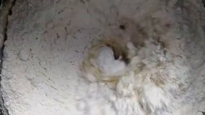 Пирожки с капустой из песочного теста!