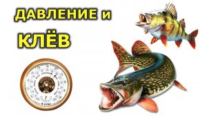 Давление для рыбалки зимой и летом. При каком давлении клюет рыба. Давление и клев рыбы