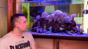 Морской Аквариум | Переход с Пресного Аквариума на Морской | Морские Кораллы | Морские рыбки .