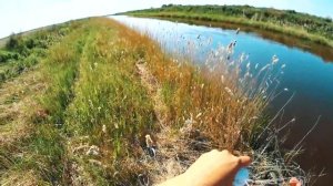 УДАЧНАЯ РЫБАЛКА НА КАСТИНГОВУЮ СЕТЬ/CASTING NET FISHING