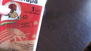 Мучнистый червец на орхидеях. Обработка корней в закрытой системе