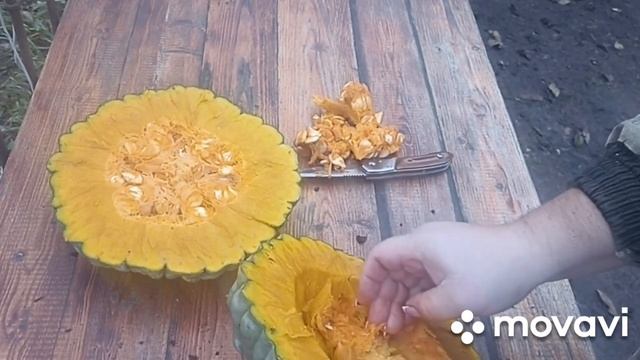 ТЫКВА СОРТОВАЯ - МАРИНА ИЗ КИОДЖИ ВМРАЗРЕЗЕ // ВАЦАП ДЛЯ ЗАКАЗА 8-915-245-81-59 ПИСЬМЕННО смотреть онлайн