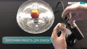 КОПТИЛЬНЫЙ ПИСТОЛЕТ СМОКИНГ ГАН (SMOKING GUN PRO), MAG MOLECULARMEAL. БЛЮДО С ДЫМКОМ?