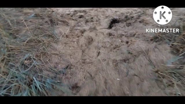 "Vlog 2" - от Galaxy Flow (мини влог) смотреть онлайн