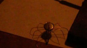 Простой робот паук своими руками.