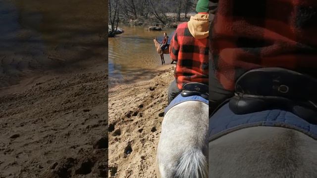 Прогулка на коне, переход через реку смотреть онлайн