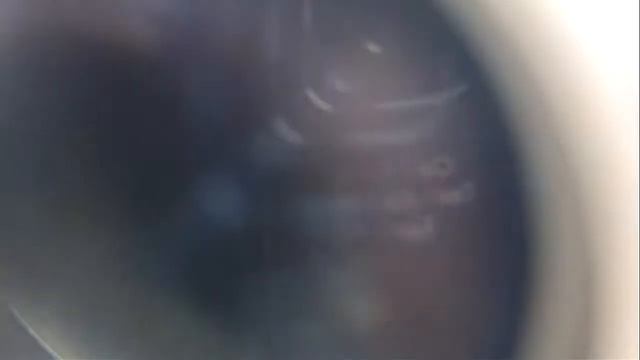 Бинокуляр в Астане. смотреть онлайн