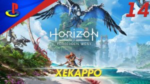 Horizon Forbidden West / Запретный запад / прохождение / PS5 / 14 часть / Хекарро