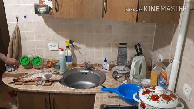 Короп 2.2кг!Легкий способ чистки рыбы!Уха! смотреть онлайн