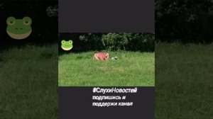 Шок. На глазах всех пара занималась любовью в Кузьминках , в парке.#секс #новость