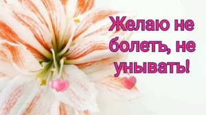 С ДНЕМ РОЖДЕНИЯ//МУЗЫКАЛЬНАЯ ОТКРЫТКА