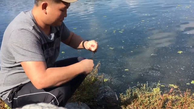 Субботний Рыбалка в Корее смотреть онлайн