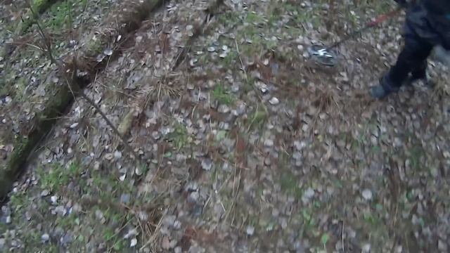 РЕАЛЬНЫЙ ПОИСК с Nokta Makro Simplex и Minelab Equinox 600 / Реакция на одинаковые цели!