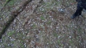 РЕАЛЬНЫЙ ПОИСК с Nokta Makro Simplex и Minelab Equinox 600 / Реакция на одинаковые цели!