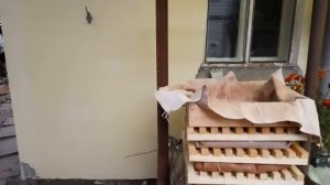 Самодельная соковыжималка яблок. Дробилка и пресс.