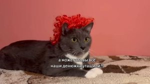 ЕСЛИ БЫ КОТИКИ ХОДИЛИ В МАГАЗИН - УЭНСДЕЙ →
@kotynet