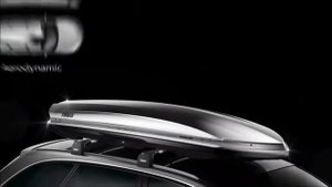 Box Thule Dynamic 900 Chrome