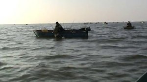 Рыбалка в Бейсугском лимане 2