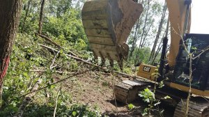 "Белые" опять наступают в Грибовском лесу