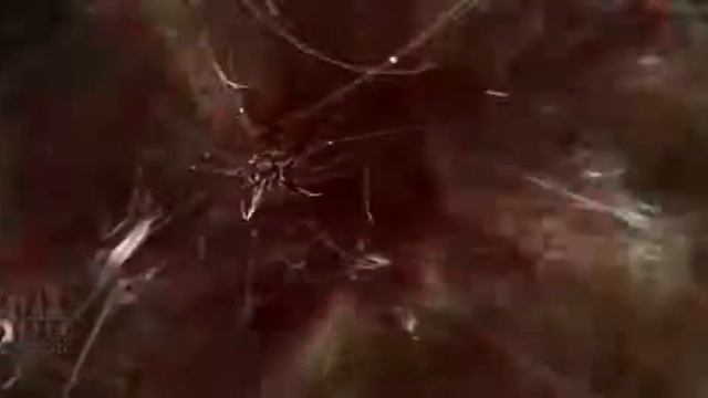 северус снейп і марадери смотреть онлайн