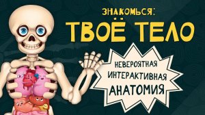 Детская интерактивная книга Энциклопедия с окошками Знакомься: твое тело