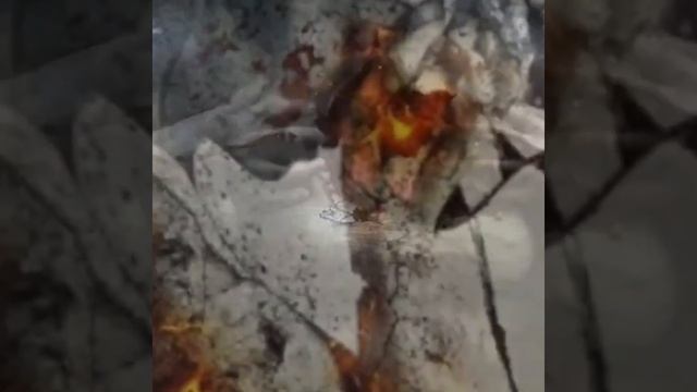 Судьба что выбираете то и получаете смотреть онлайн