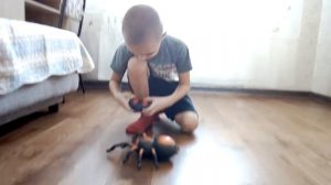 Гигантский паук на пульте управления #распаковка #покупкиигрушек #обзор #игрушки #покупки #паук