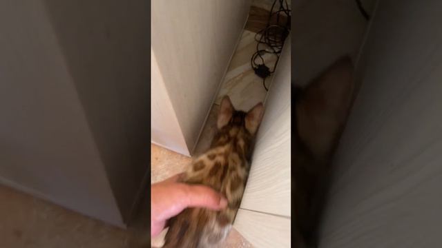 Нет преград для достижения цели.