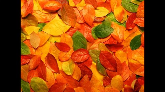 Ф. И. Тютчев - Листья смотреть онлайн