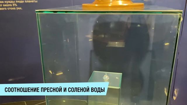 МИР ВОДЫ / Музей в Санкт-Петербурге / смотреть онлайн
