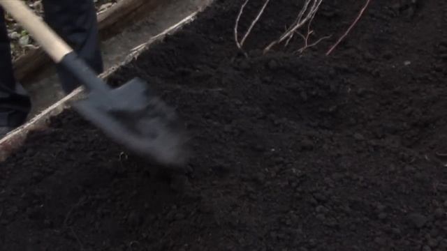 Осенняя прикопка саженцев 2 смотреть онлайн