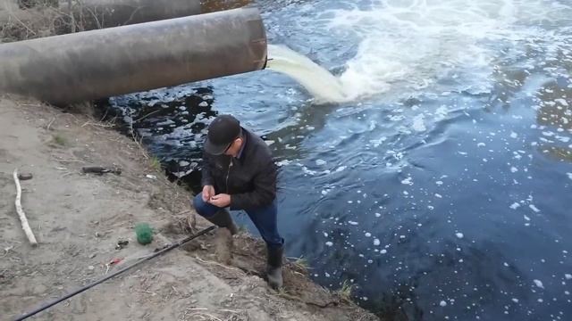 Рыбалка в Озерке на карпа смотреть онлайн