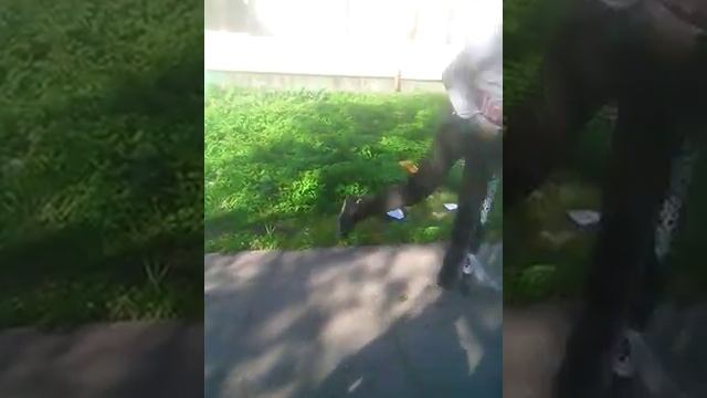 Малинькое видео))) новый самокат оксела мф 1:6 смотреть онлайн