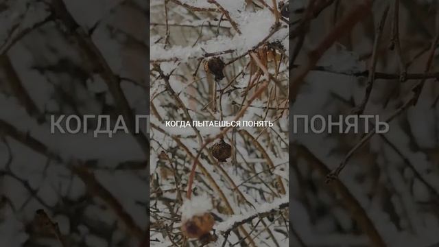 ЕСТЬ ТАКОЕ СОСТОЯНИЕ ДУШИ ЛОМКА