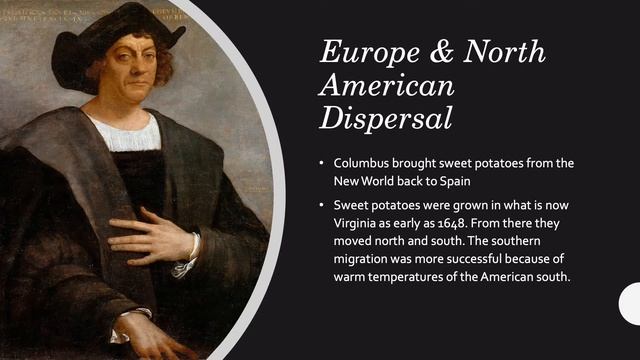 Sizzlin' Summer: Sweet Potato смотреть онлайн