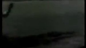 Юрий Власов (штангист)