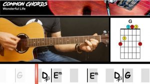 Wonderful Life - Black | GUITAR LESSON | Common Chords