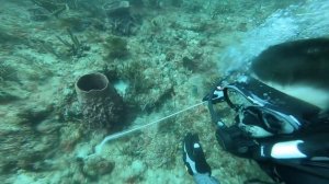 Lobster scuba diving. Дайвинг Охота на лобстеров - Boca Raton, Florida