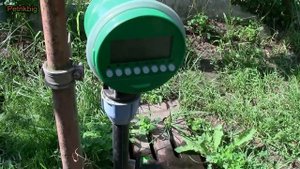 Простой автоматический полив голубики