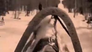 В Гостях у Сказки. Микс