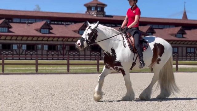 Тинкер Зефир: преобразование из подростка-бандита в лучшую детскую лошадь смотреть онлайн