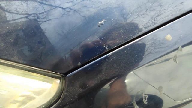 Как удалить старую сосновую смолу с кузова автомобиля? смотреть онлайн