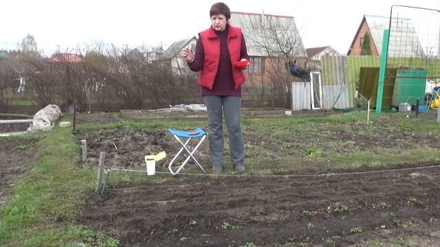 Сеем морковь вместе с редисом смотреть онлайн