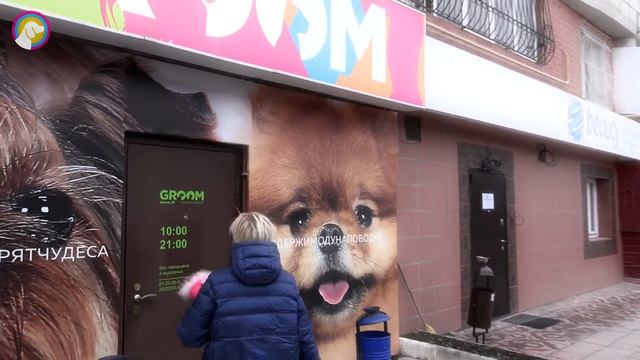 Стрижка собак и кошек Groom. О Кийко Татьяне