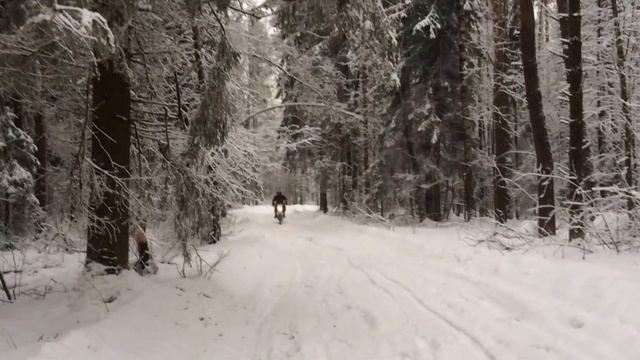 Питбайк Kayo LF125 14/17 зимой на шурупах клоп смотреть онлайн